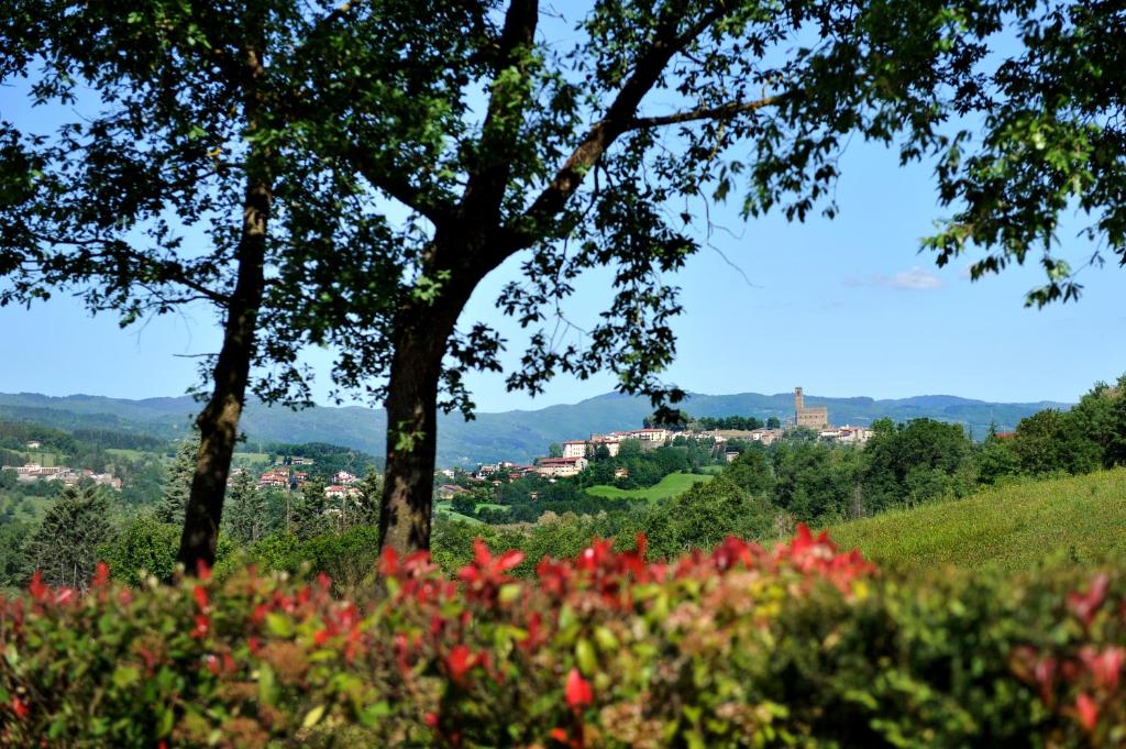 a view of a hill with trees and red flowers at Agriturismo La Pietraia in Poppi