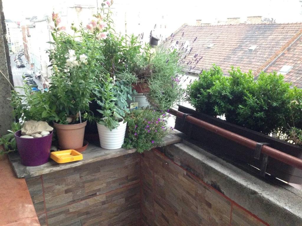Vonkajšia záhrada v ubytovaní Lonyay Street Apartment