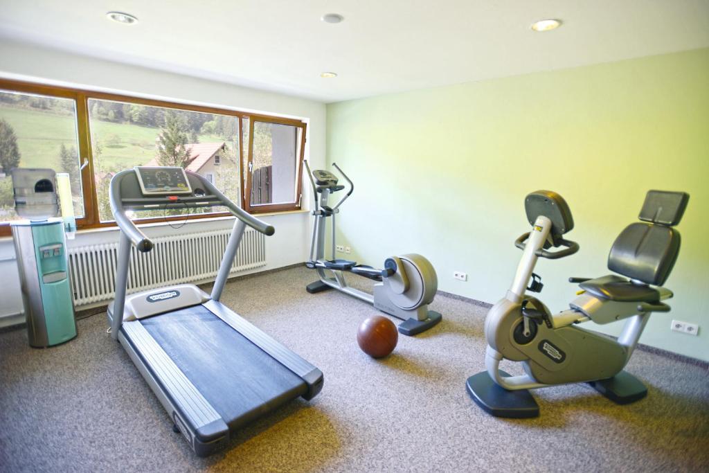Fitness centrum a/nebo fitness zařízení v ubytování Hotel Waldlust