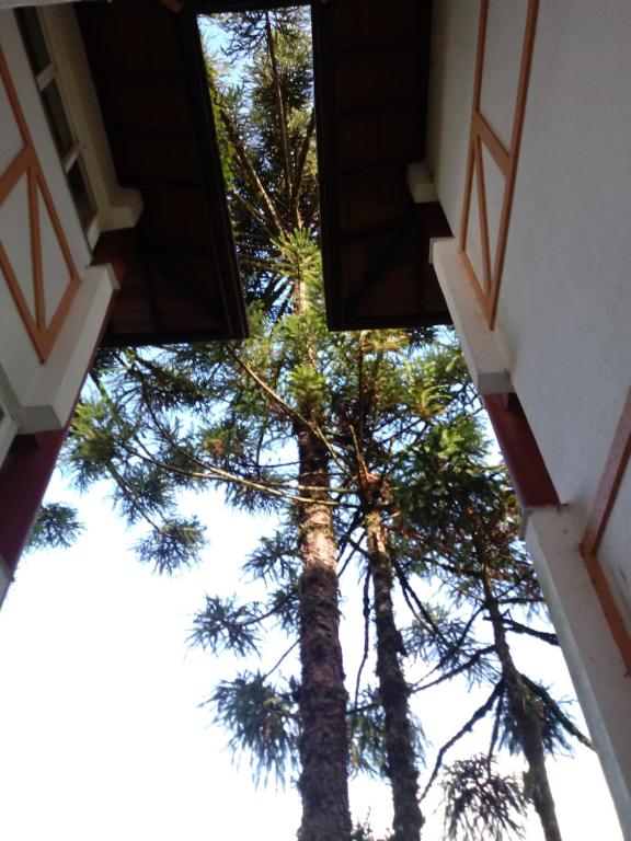  Apartamento Condomínio