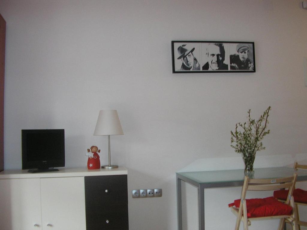 TV a/nebo společenská místnost v ubytování Celic Art Apartments