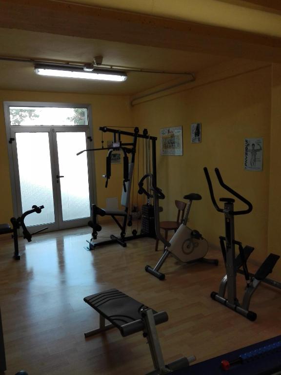 Fitness centrum a/nebo fitness zařízení v ubytování Hotel Senio