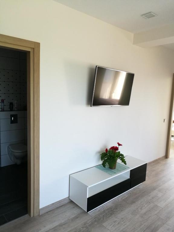 TV a/nebo společenská místnost v ubytování Ąžuolo apartamentai
