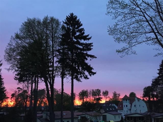a group of trees and houses at sunset at Apartament Morski in Rewal