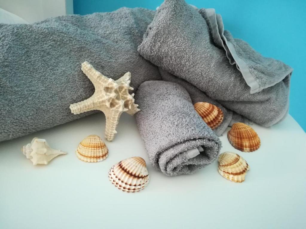 una toalla y algunas conchas marinas sobre una mesa en Brezza Del Mare en Agropoli