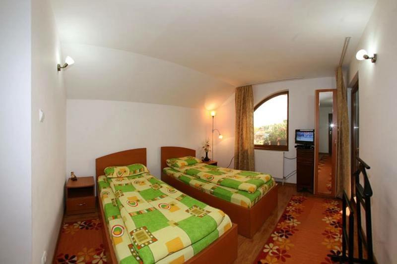 a hotel room with two beds and a window at Casa Nicu Murighiol in Murighiol