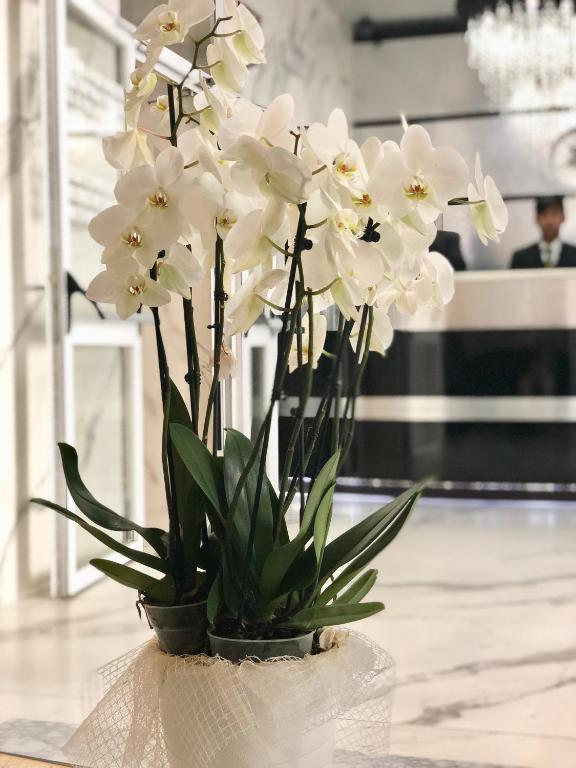 Hotel Bolzano - Resim 9