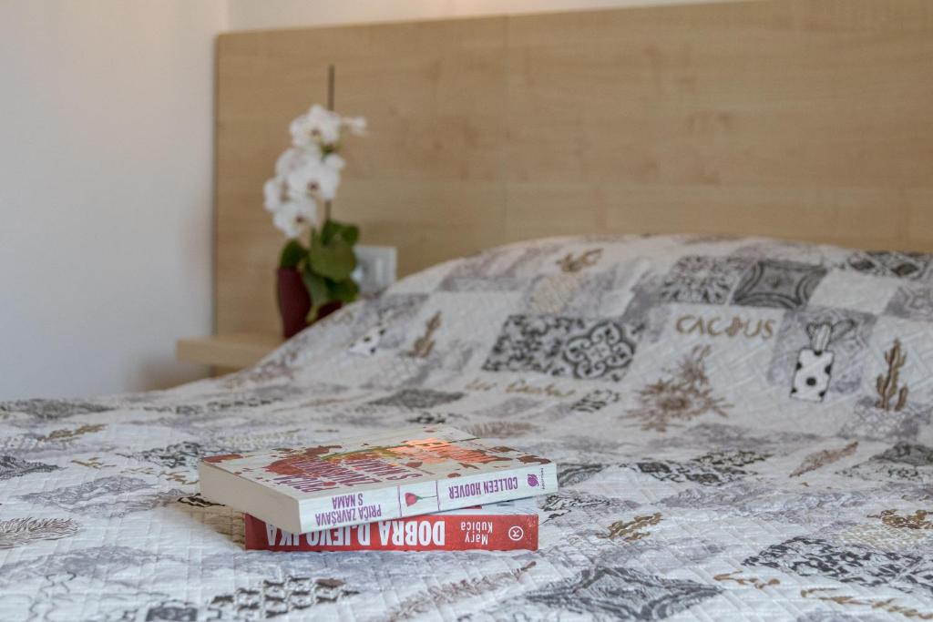 Postel nebo postele na pokoji v ubytování Apartment Taja