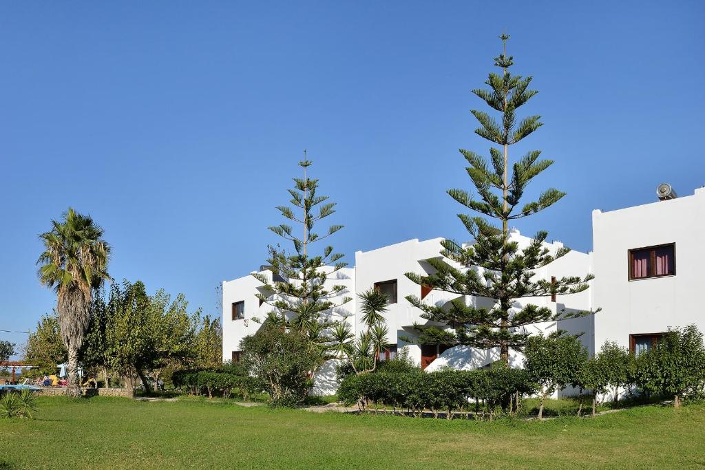 Vonkajšia záhrada v ubytovaní San Antonio Apartments