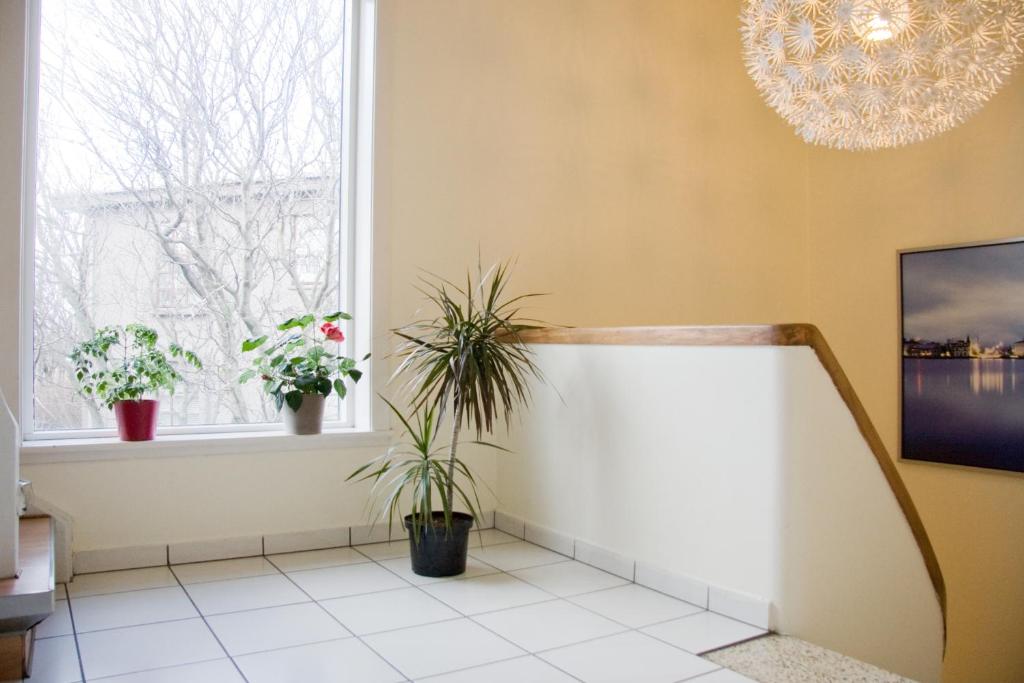 Fotografie z fotogalerie ubytování Igdlo Guesthouse v Reykjavíku