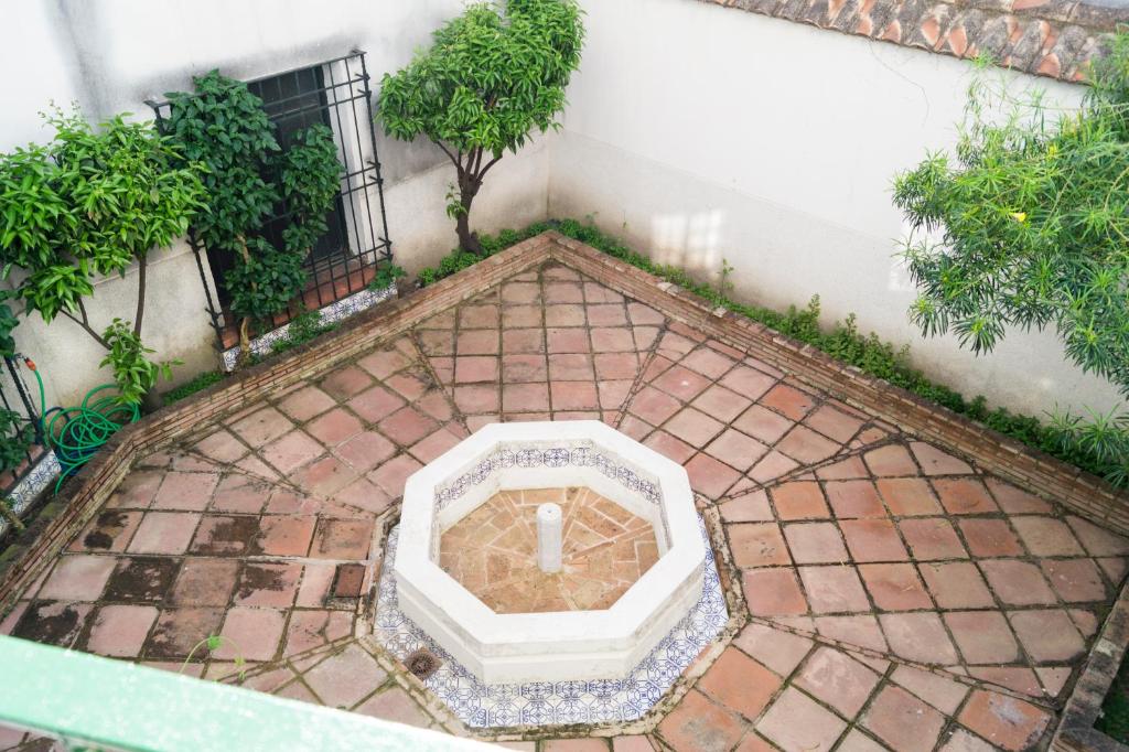Vonkajšia záhrada v ubytovaní Apartamento Mihrab, excelente ubicacion en casco historico