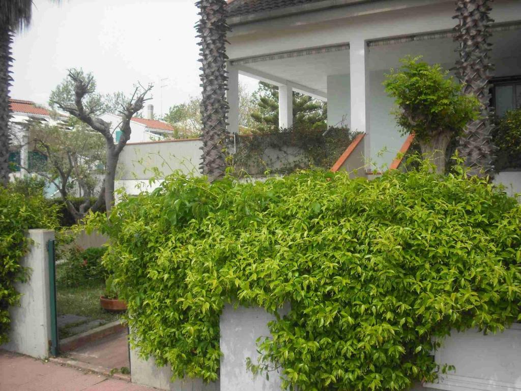 Casa Vacanza Torre Mare - Housity