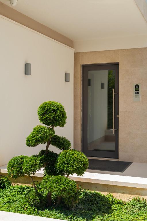 Vonkajšia záhrada v ubytovaní Alba Residence