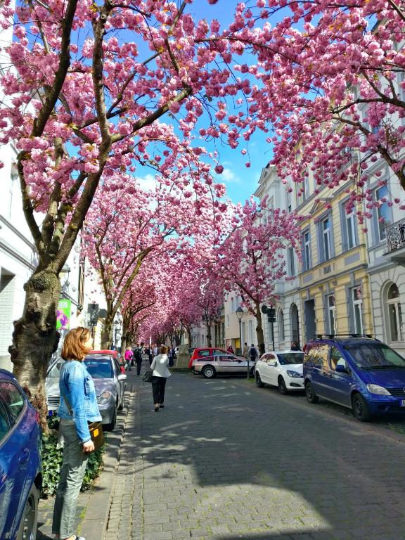 Apartmenthotel Kaiser Karl - Resim 34