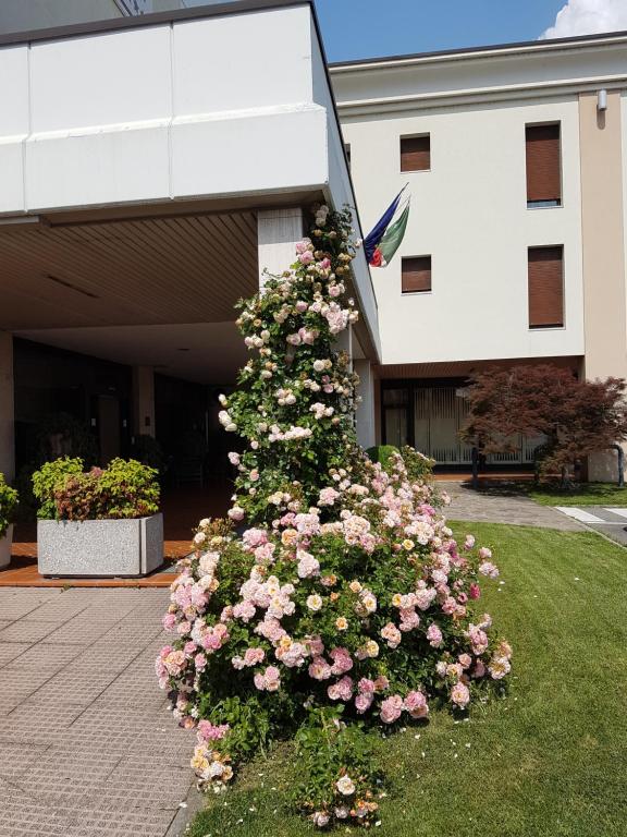 A garden outside Hotel Continental Brescia
