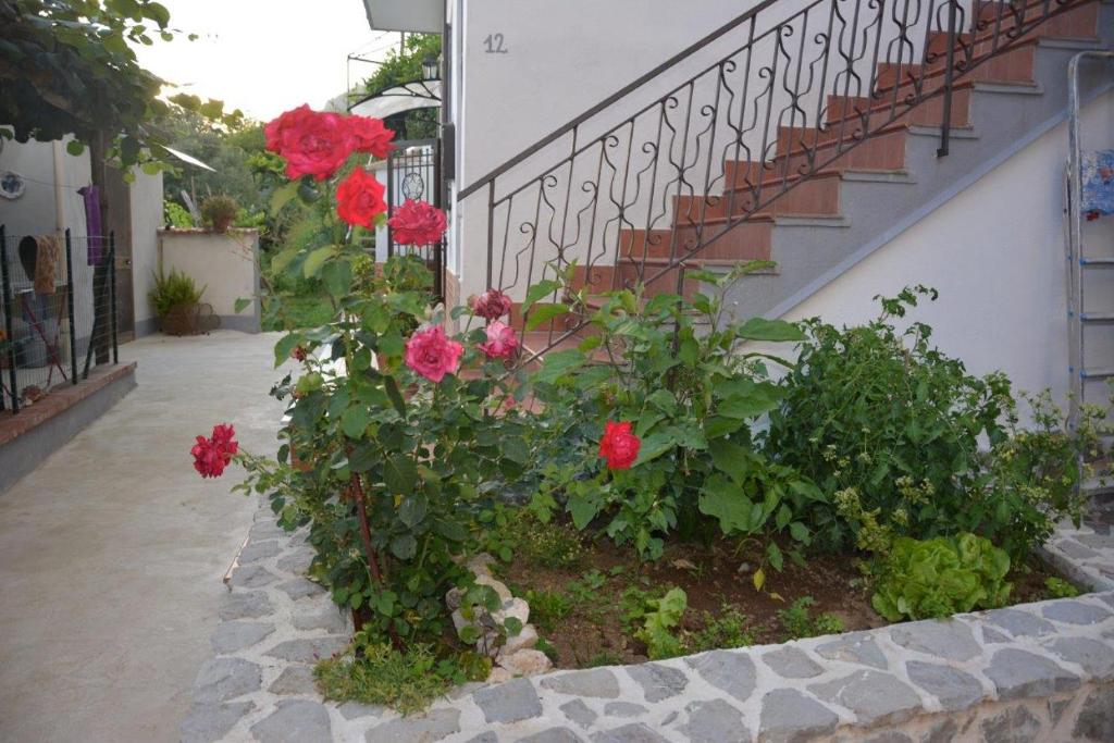 un jardin fleuri avec des fleurs rouges à côté d'un escalier dans l'établissement Casa Panoramica Vintage, à Tramonti