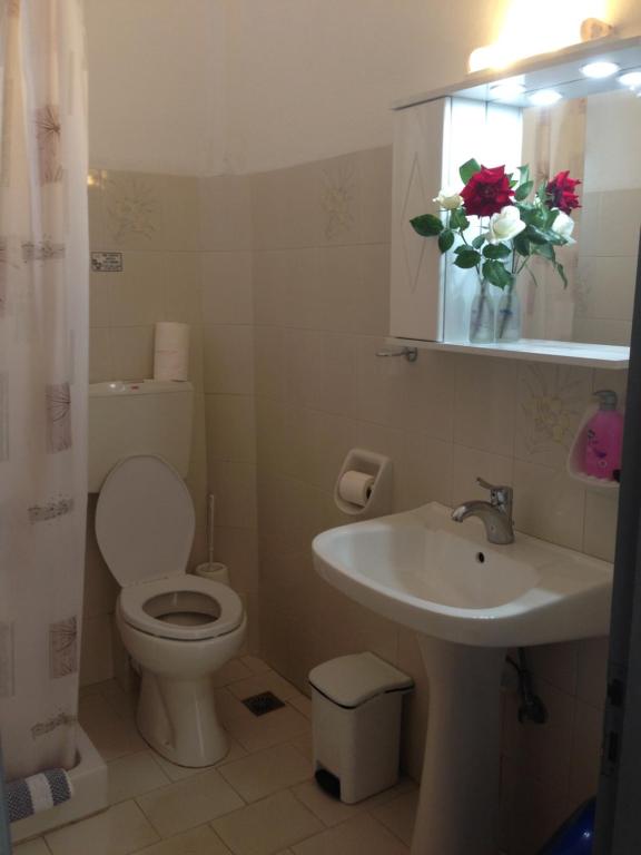 małą łazienkę z toaletą i umywalką w obiekcie Palmira Apartments w mieście Makry Gialos