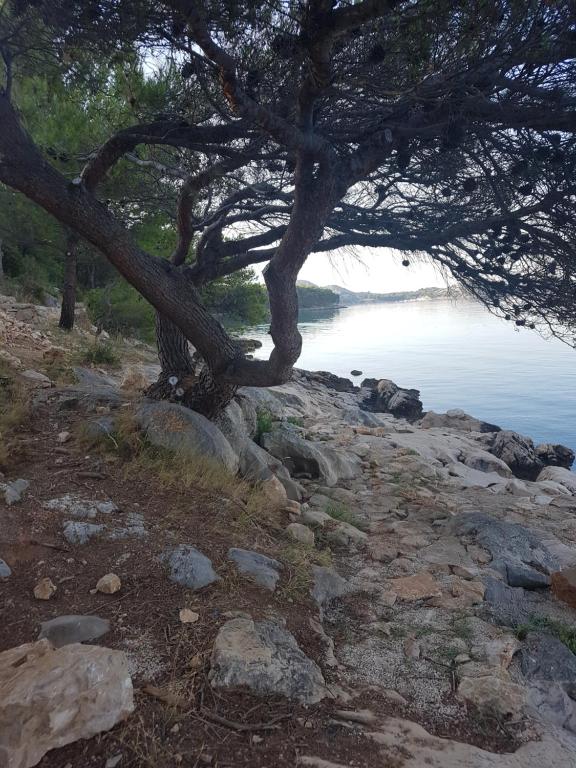 Príroda v okolí penziónu
