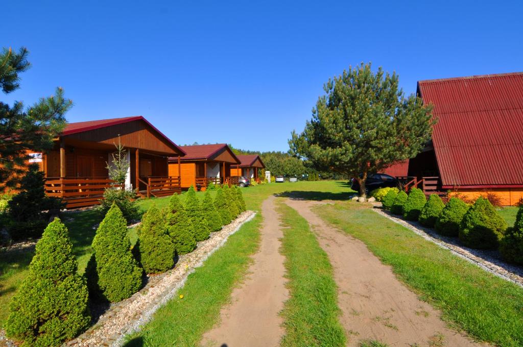 a dirt road in front of a house with bushes at Ośrodek Daglezja in Kołczewo