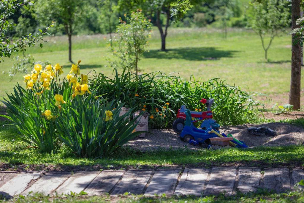 Fotografie z fotogalerie ubytování House Marijana v destinaci Rakovica