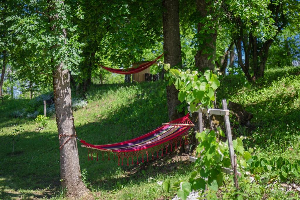 Fotografie z fotogalerie ubytování House Marijana v destinaci Rakovica