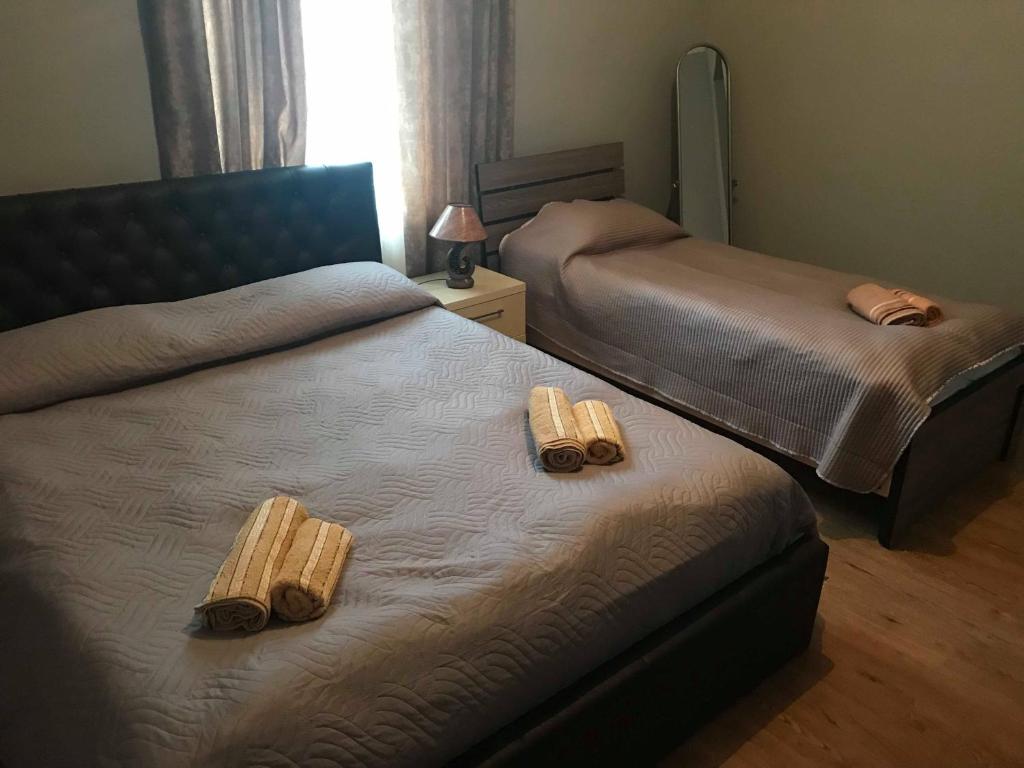 Postel nebo postele na pokoji v ubytování Guesthouse Ori Beli in Mestia