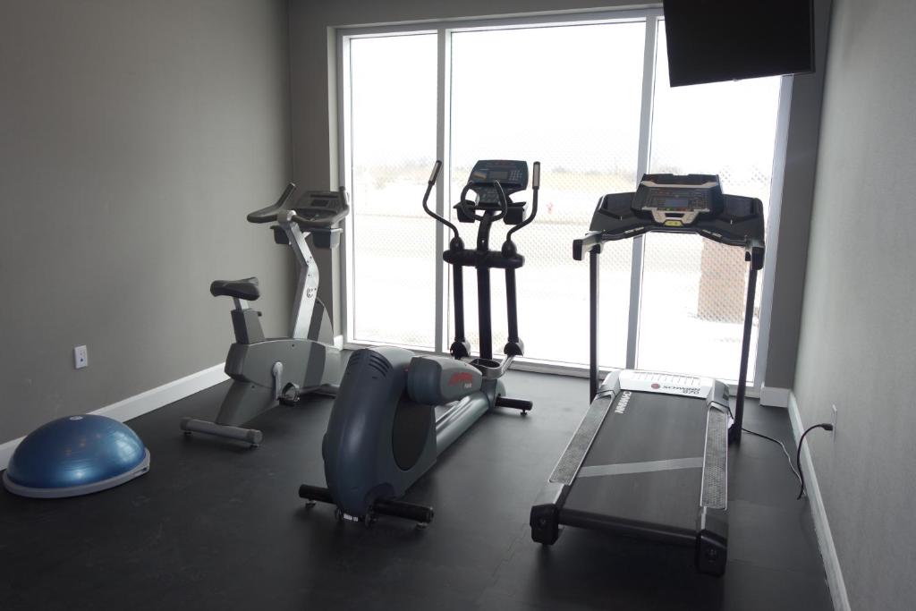 Fitness centrum a/nebo fitness zařízení v ubytování Park Inn by Radisson Brampton, ON