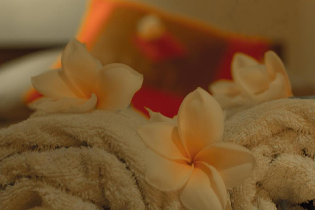 Fotografie z fotogalerie ubytování Bali Asli Lodge by EPS v Ubudu