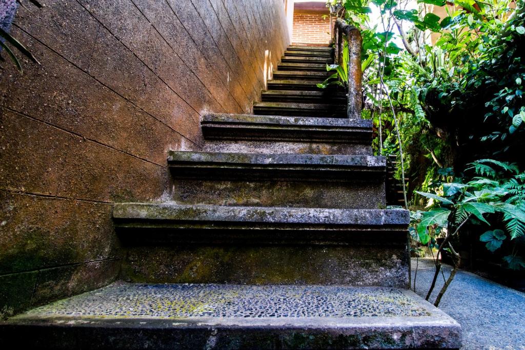 Fotografie z fotogalerie ubytování Bali Asli Lodge by EPS v Ubudu