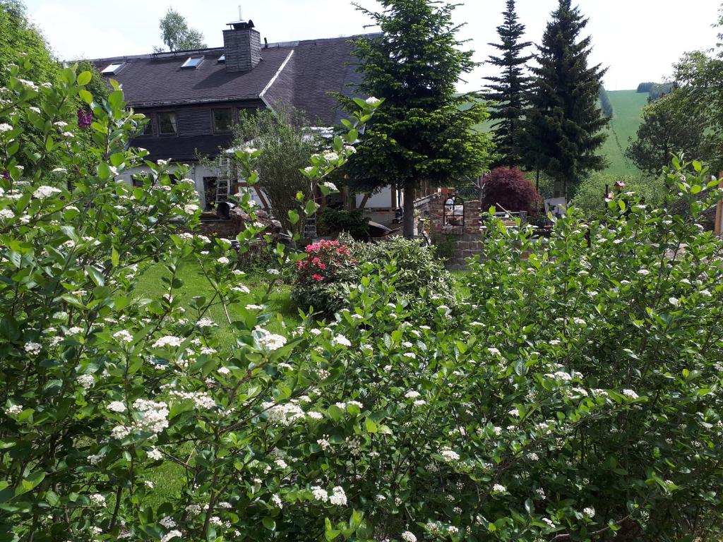 a house with a garden with white flowers at Ferienwohnung Aronia Garten in Kurort Oberwiesenthal