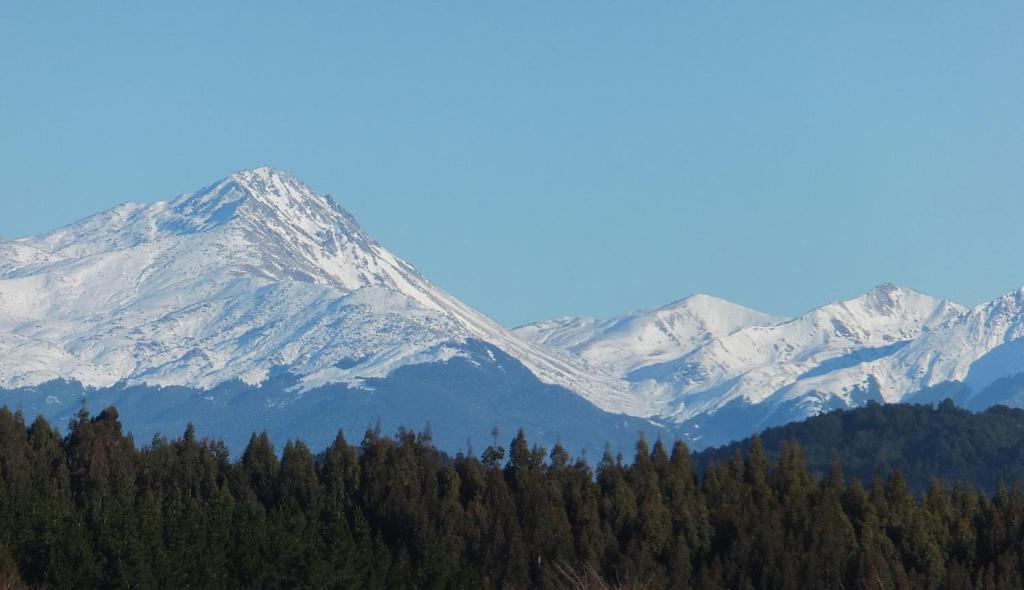 Bella Vista Motel Te Anau - Resim 43