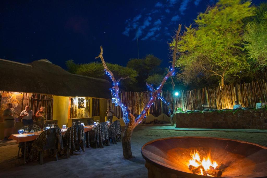 Fotografie z fotogalerie ubytování Tau Game Lodge v destinaci Madikwe Game Reserve