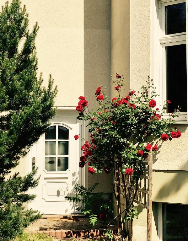 Bürgerpark Apartments - 17