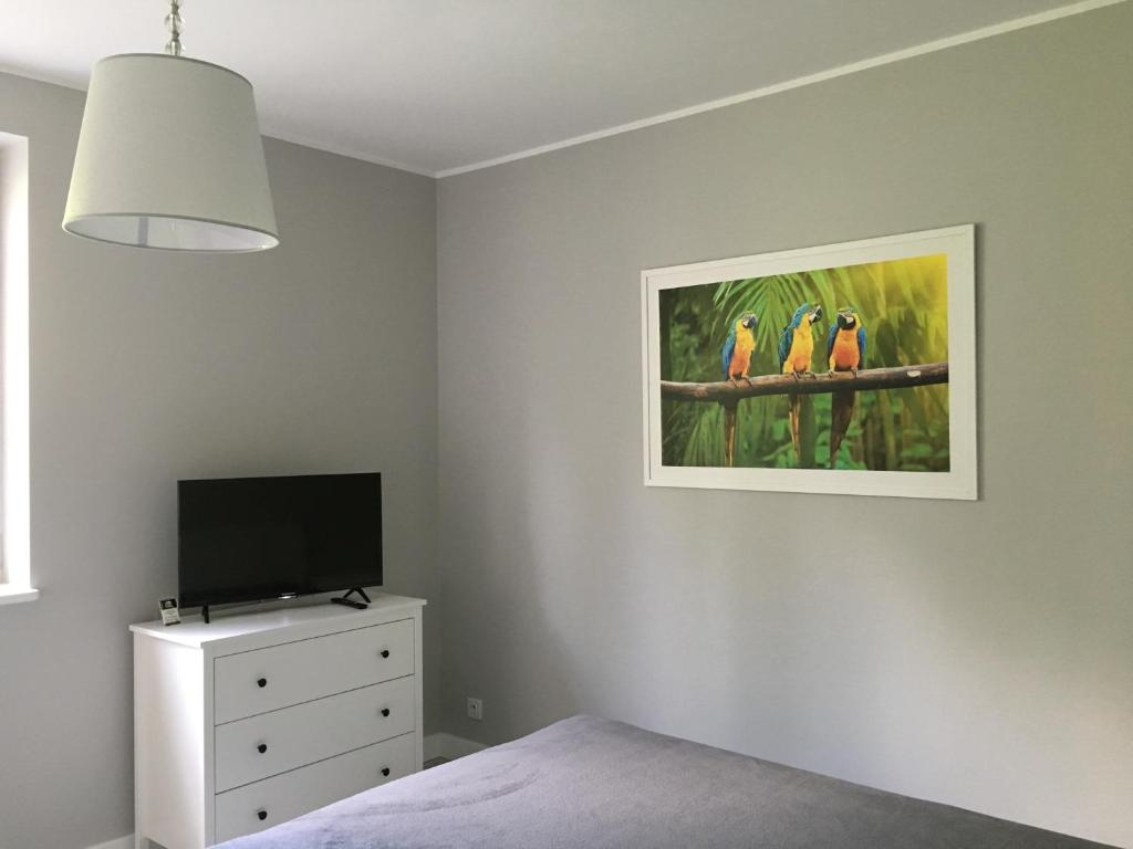 TV a/nebo společenská místnost v ubytování Apartament Na Urlop - Wisła Kamienna - Apartamenty z widokiem na panoramę Wisły