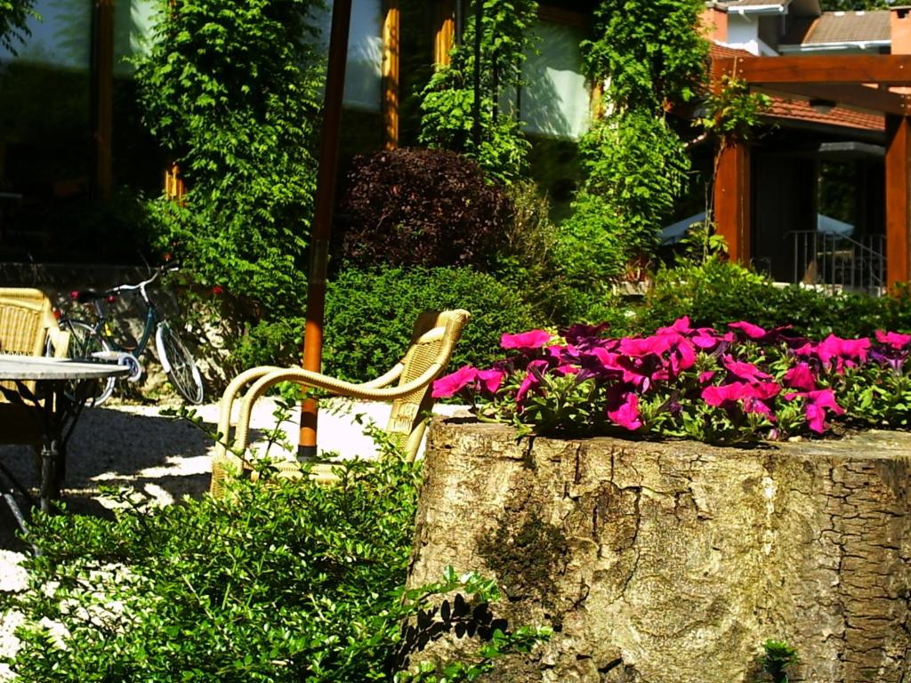 Zahrada ubytování Churrut Hotel