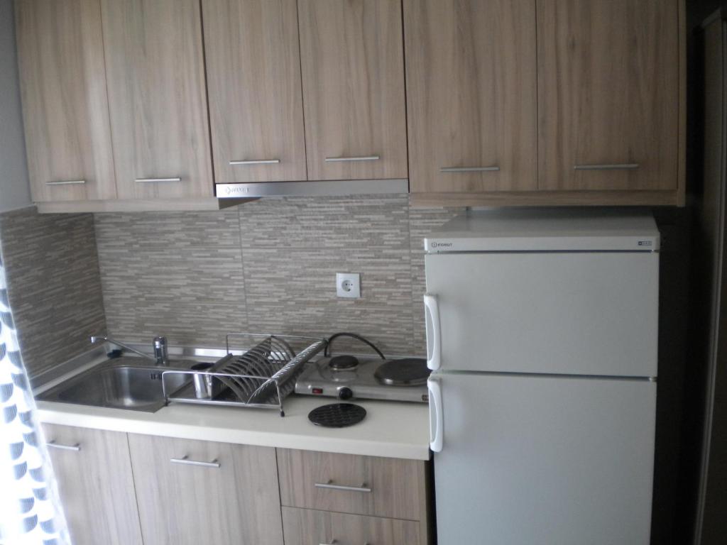 Kuchyň nebo kuchyňský kout v ubytování Nostos Apartments
