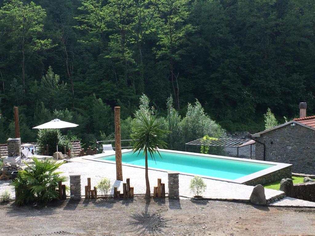uma piscina com uma palmeira num quintal em Magic Mill Castagnetoli em Mulazzo