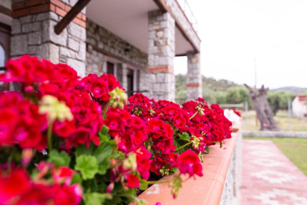 Zahrada ubytování Villa Theano