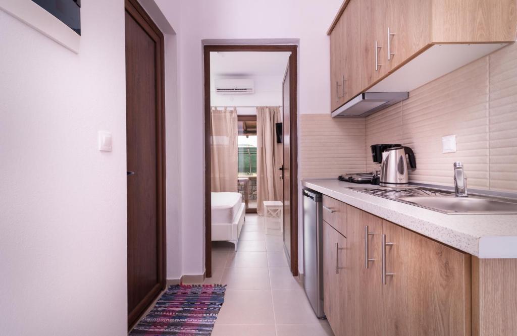 Kuchyň nebo kuchyňský kout v ubytování Villa Theano