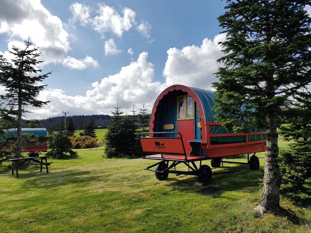 Zahrada ubytování Clissmann Horse Caravans Glamping