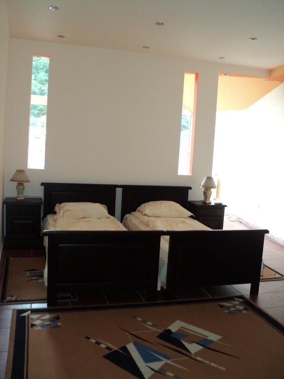 Pensiunea Irina - Double Or Twin Room