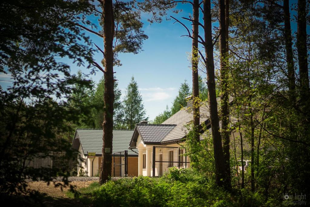 a house in the middle of a forest at Leśny Dworek in Snochowice