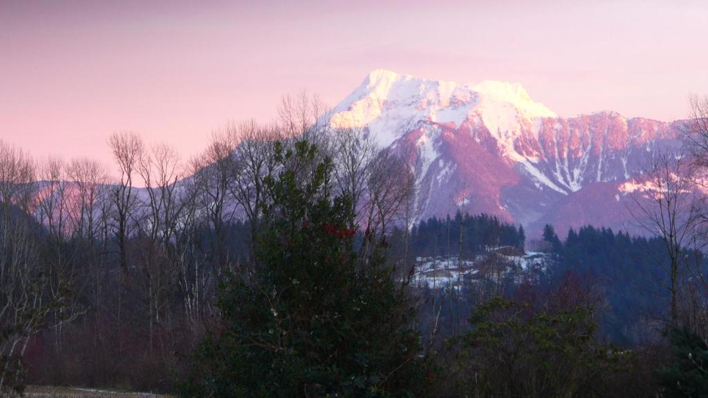 a snow covered mountain in the distance with trees and a city at Harrison Hammond House Farmstay in Harrison Mills