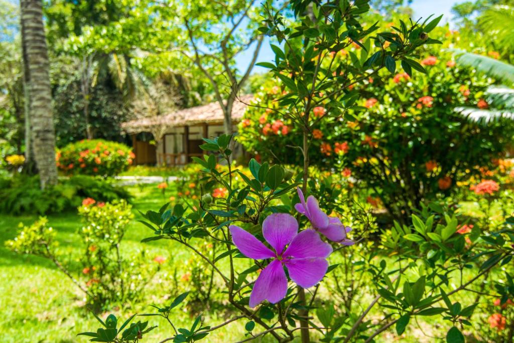  Manacá Pousada Parque