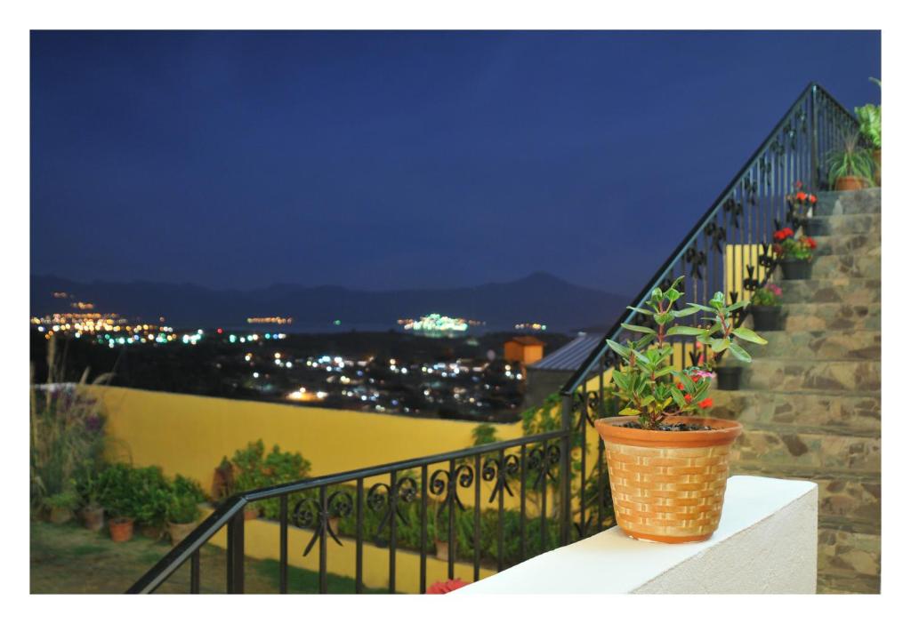 a plant in a pot sitting on a balcony at Mirador del Lago in Pátzcuaro