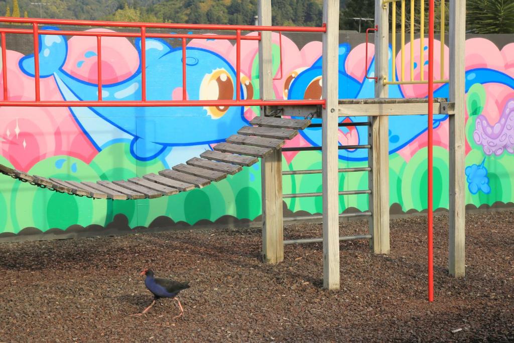 Parklands Marina Holiday Park - Resim 23
