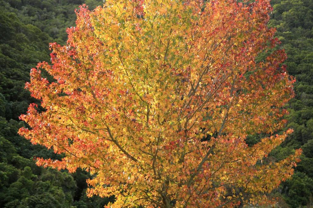 Parklands Marina Holiday Park - Resim 33