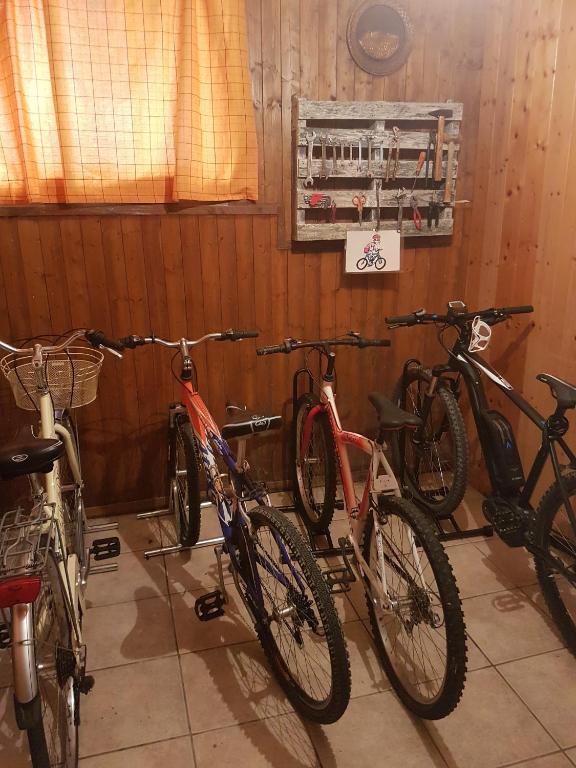 Jízda na kole v ubytování B&B A.R.C.O. nebo okolí