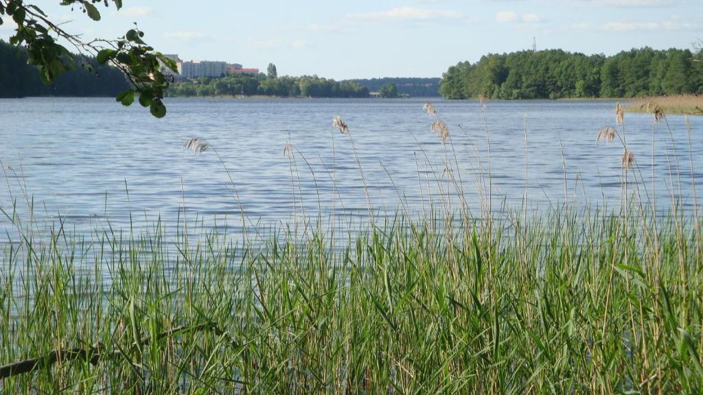 Príroda v okolí apartmánu