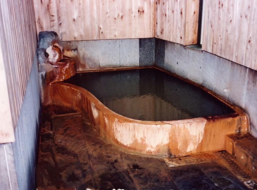 Fotografie z fotogalerie ubytování Ryokan Masuya v destinaci Ōda